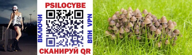 Псилоцибиновые грибы Magic Shrooms  где купить   Неман 