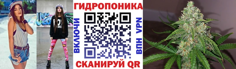 Шишки марихуана конопля  купить  сайты  mega tor  Неман 